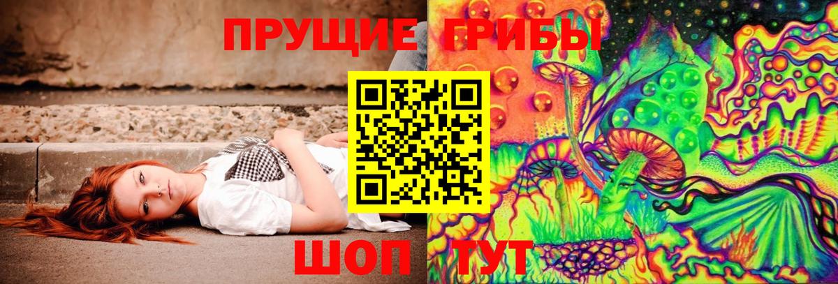 Чапаевск  Галлюциногенные грибы Cubensis  Вход с VPN  купить наркоту  Псилоцибиновые грибы Psilocybe 